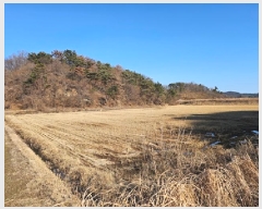  2025Ÿ449 泲 ϵ   20-18      ()