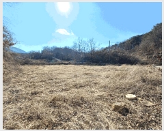  2025Ÿ��494 �泲 ��û�� �ݼ��� �žƸ� 1000-3      ����(��)���