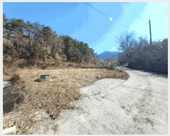  2025Ÿ��494 �泲 ��û�� �ݼ��� �žƸ� 1000-3      ����(��)���