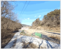  2025Ÿ��494 �泲 ��û�� �ݼ��� �žƸ� 1000-3      ����(��)���