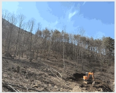  2025Ÿ504 泲 û ܼ  757      ()