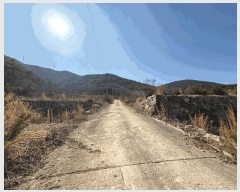  2025Ÿ504 泲 û ܼ  757      ()