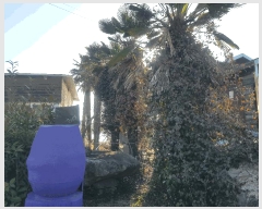  2025Ÿ��512  �󰡰��