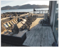  2025Ÿ��512  �󰡰��