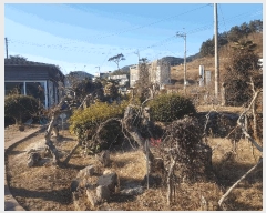  2025Ÿ��512  �󰡰��