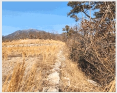  2025Ÿ��519 �泲 ���ֽ� �ݻ�� ��Ƹ� 542      ����(��)���