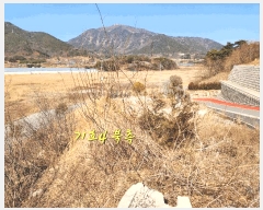  2025Ÿ��519 �泲 ���ֽ� �ݻ�� ��Ƹ� 542      ����(��)���