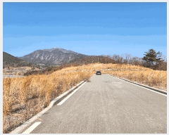  2025Ÿ��519 �泲 ���ֽ� �ݻ�� ��Ƹ� 542      ����(��)���