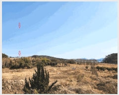  2025Ÿ��519 �泲 ���ֽ� �ݻ�� ��Ƹ� 542      ����(��)���