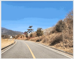  2025Ÿ��519 �泲 ���ֽ� �ݻ�� ��Ƹ� 542      ����(��)���