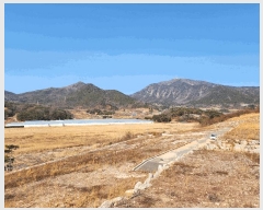  2025Ÿ��519 �泲 ���ֽ� �ݻ�� ��Ƹ� 542      ����(��)���