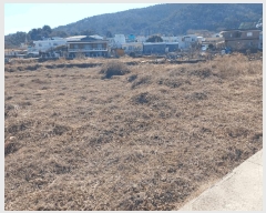  2025Ÿ529 泲 ر ̵  1027-2      ()