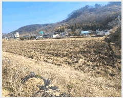  2025Ÿ551 泲 ֽ   355-3      ()