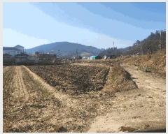  2025Ÿ551 泲 ֽ   355-3      ()