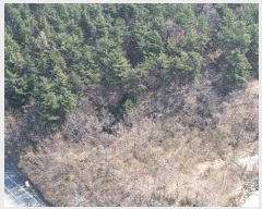  2025Ÿ��561  �Ӿ߰��