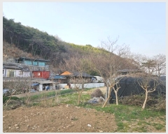  2025Ÿ571 泲 ֽ ݰ ι 680-1      ()