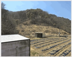  2025Ÿ��576 �泲 ��û�� �ŵ�� ������ 18      ����(��)���