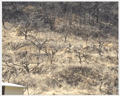  2025Ÿ��576 �泲 ��û�� �ŵ�� ������ 18      ����(��)���