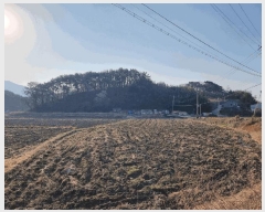  2025Ÿ��591  �Ӿ߰��