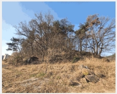  2025Ÿ��591  �Ӿ߰��