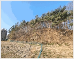  2025Ÿ��591  �Ӿ߰��