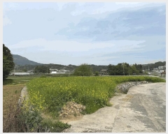  2025Ÿ��656 �泲 ���ر� ������ ������ 721-1      ����(��)���