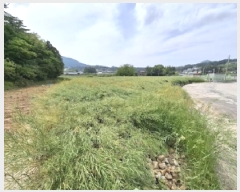  2025Ÿ��656 �泲 ���ر� ������ ������ 721-1      ����(��)���