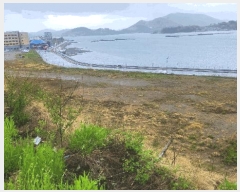  2025Ÿ��660 �泲 ��õ�� �Ǿȵ� 1268-2       ����(����)���