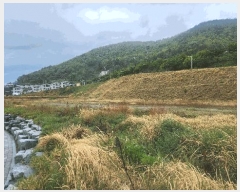  2025Ÿ��660 �泲 ��õ�� �Ǿȵ� 1268-2       ����(����)���