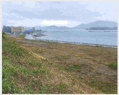  2025Ÿ��660 �泲 ��õ�� �Ǿȵ� 1268-2       ����(����)���