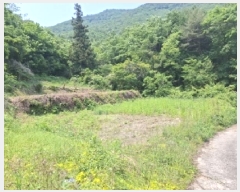  2025Ÿ��676 �泲 ���ر� �ﵿ�� ��ȭ�� 1482-24      ����(��1)���