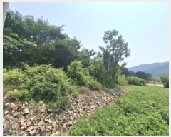  2025Ÿ��676 �泲 ���ر� �ﵿ�� ��ȭ�� 1482-24      ����(��1)���