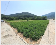  2025Ÿ��676 �泲 ���ر� �ﵿ�� ��ȭ�� 1482-24      ����(��1)���