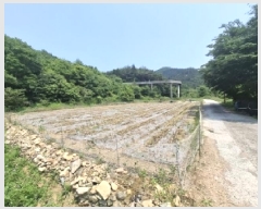  2025Ÿ��676 �泲 ���ر� �ﵿ�� ��ȭ�� 1482-24      ����(��1)���