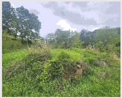  2025Ÿ��687 �泲 ���ر� ���� �󰡸� 818      ����(��1)���