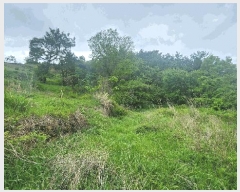  2025Ÿ��687 �泲 ���ر� ���� �󰡸� 818      ����(��1)���