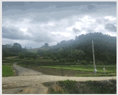  2025Ÿ��687 �泲 ���ر� ���� �󰡸� 818      ����(��1)���