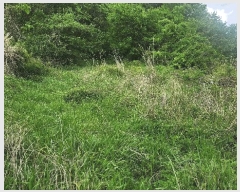  2025Ÿ��687 �泲 ���ر� ���� �󰡸� 818      ����(��1)���