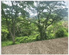  2025Ÿ��687 �泲 ���ر� ���� �󰡸� 818      ����(��1)���