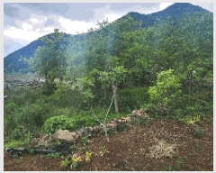  2025Ÿ��687 �泲 ���ر� ���� �󰡸� 818      ����(��1)���