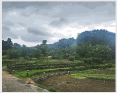  2025Ÿ��687 �泲 ���ر� ���� �󰡸� 818      ����(��1)���