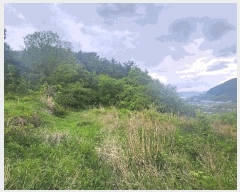  2025Ÿ��687 �泲 ���ر� ���� �󰡸� 818      ����(��1)���