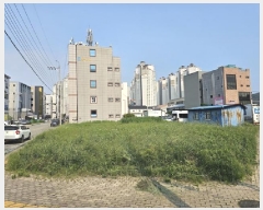  2025Ÿ��692  �������