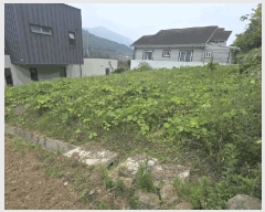  2025Ÿ��729  �������