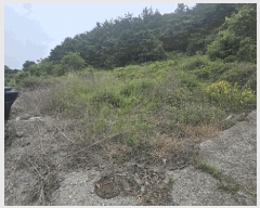  2025Ÿ��729  �������