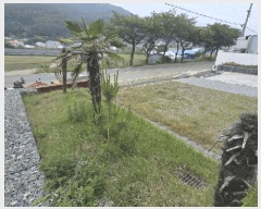  2025Ÿ��729  ���ð��