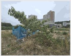  2025Ÿ��734 �泲 ��õ�� �糲�� ������ 725      ����(����)���