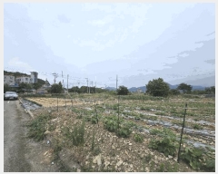  2025Ÿ��734 �泲 ��õ�� �糲�� ������ 725      ����(����)���