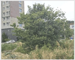  2025Ÿ��734 �泲 ��õ�� �糲�� ������ 725      ����(����)���