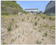  2025Ÿ��739  �Ӿ߰��